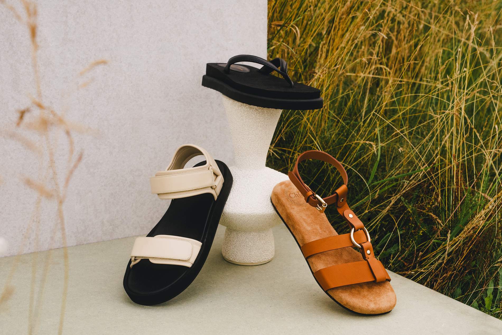 Modish Shoe -Modish Shoe w1900 q65